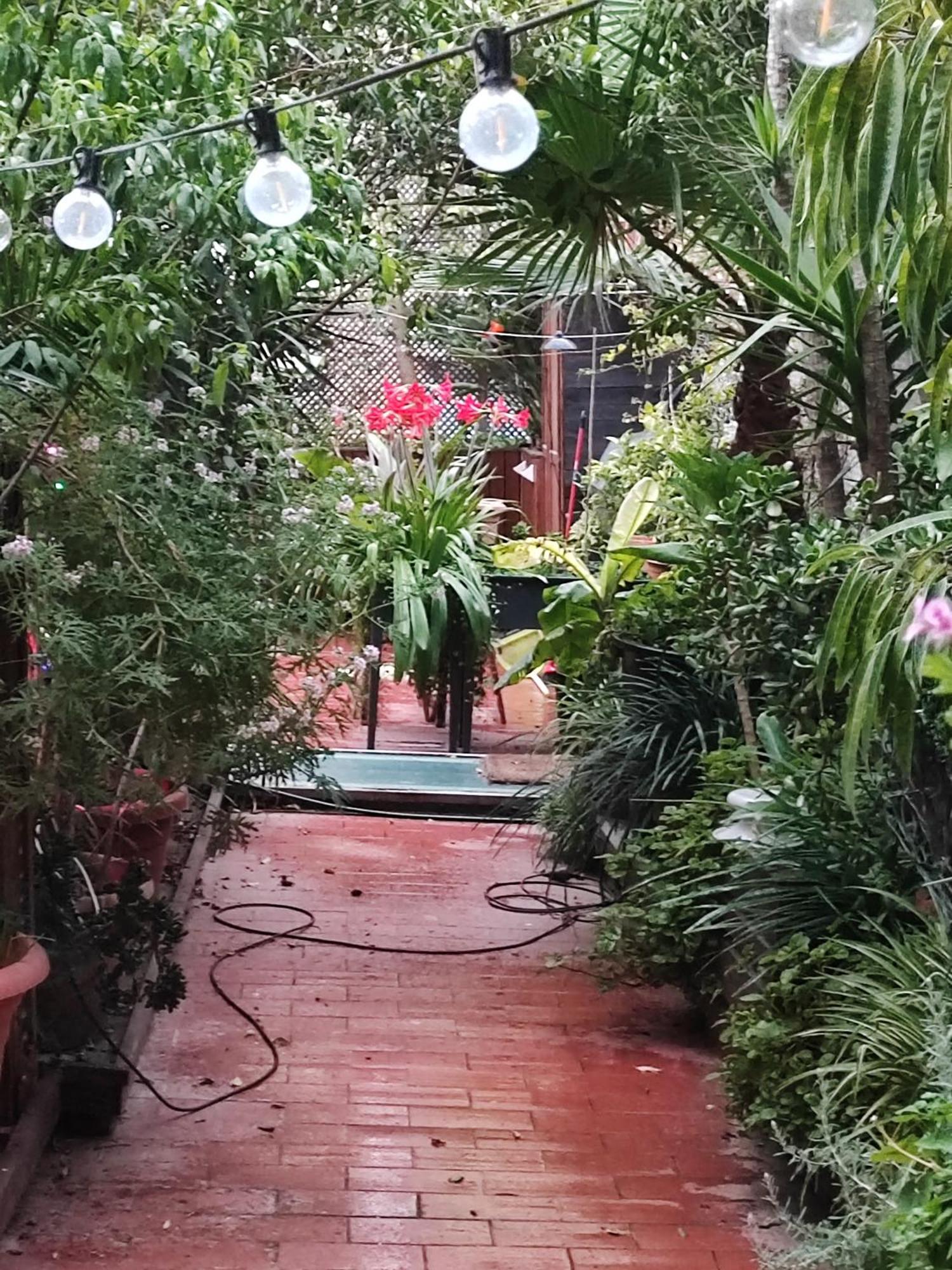 Jardin Secreto En El Centro De 2 Luxury tent Barcelona